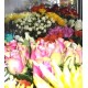 Patras Flowershops