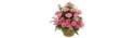 Basket pink Roses - Florist Patras city