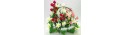 Basket lilies & Roses - Florist Patras city