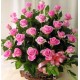 Flowerbasket pink Roses - Florist Patras city