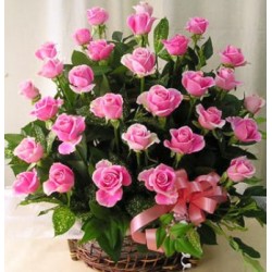 Flowerbasket 30 pink Roses - Florist Patras city