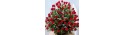 Flower Basket red Roses - Florist Patras city