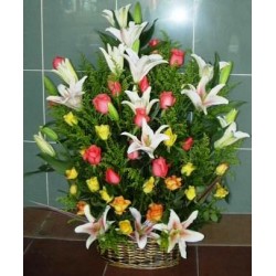 Basket lilies oriental - Roses  - Florist Patras city