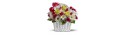 Basket lilies - Roses  - Florist Patras city