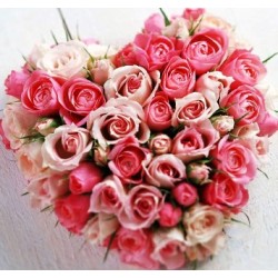 Heart of 48 Roses  - Florist Patras city