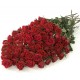 100 red roses - Florist Patras city