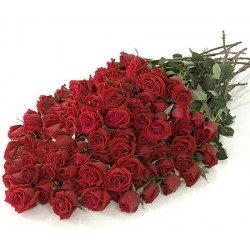 100 Κόκκινα Τριαντάφυλλα  - Τιμη ανθοπωλειου Πατρας