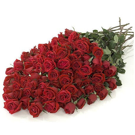 100 red roses - Florist Patras city
