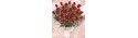 24 red roses - Florist Patras city