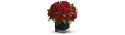 Βαζο με κοκκινα  τριανταφυλλα - Τιμη ανθοπωλειου Πατρας