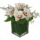Orchid in vase - Delivery Patras city