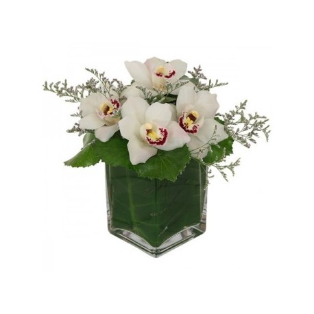 Orchid in vase - Delivery Patras city