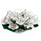 Vase with orchids - Delivery Patras city