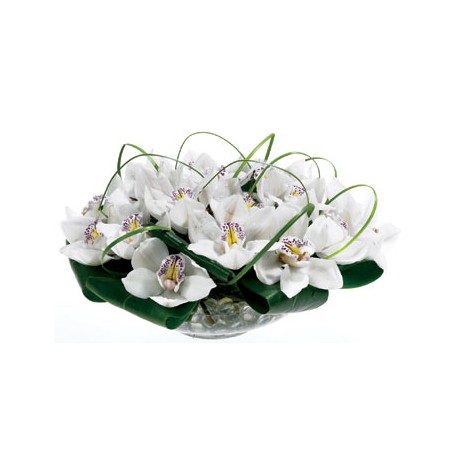 Vase with orchids - Delivery Patras city