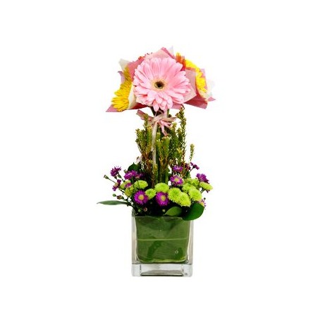 Gerberas in vase - Delivery Patras city