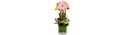 Gerberas in vase - Delivery Patras city