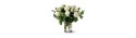 Vase white roses - Delivery Patras city