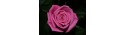 Ροζ τριανταφυλλα - Τιμη ανθοπωλειου Πατρας