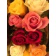 Mixed roses - Only for Patras city