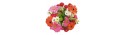 Mix flowers Zerbera and Chrysanthemum
