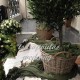 Greece - Wedding Athens by florist Tsaropoulos (ΧLarge)