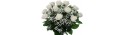 Flowers bouquet white roses