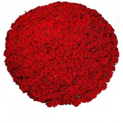 Flower basket 501 red roses