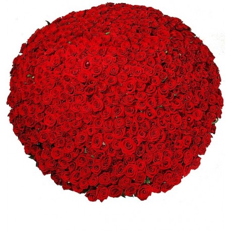 Flower basket 501 red roses
