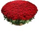 501 κόκκινα τριαντάφυλλα σε καλάθι
