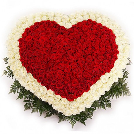 Ηeart of 301 red & white roses