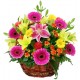 Mixed flowers in flower basket