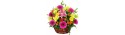 Mixed flowers in flower basket