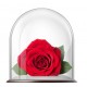 Κοκκινο Forever  Rose - Παντοτινο τριανταφυλλο